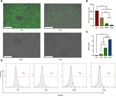 Cell-free fat extract regulates oxidative stress and alleviates Th2-mediated inflammation in atopic dermatitis